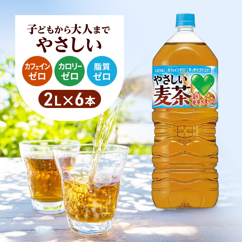 やさしい麦茶 2L 6本 セット 詰め合わせ お茶 サントリー GREEN DA・KA・RA 麦茶 グリーンダカラ カフェインゼロ ノンカフェイン ペットボトル 茶 飲み物 ドリンク 飲料 神奈川 神奈川県 綾瀬市