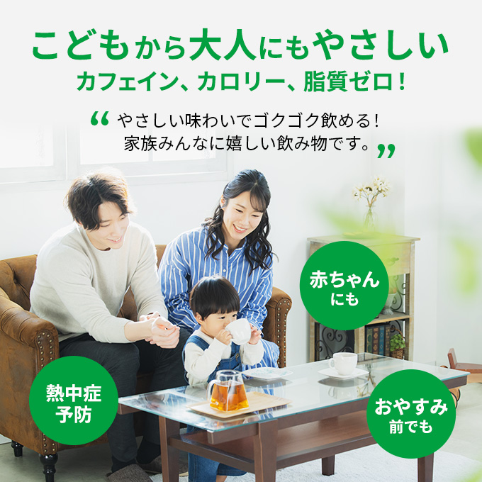 やさしい麦茶 2L 6本 セット 詰め合わせ お茶 サントリー GREEN DA・KA・RA 麦茶 グリーンダカラ カフェインゼロ ノンカフェイン ペットボトル 茶 飲み物 ドリンク 飲料 神奈川 神奈川県 綾瀬市