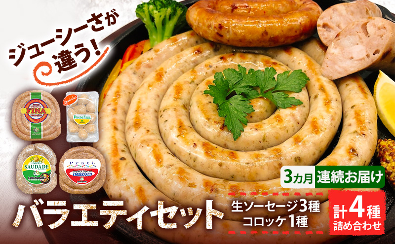 ブラジル食材セット 3ヶ月連続お届け定期便 肉料理 つまみ ビールのおつまみ バーベキュー BBQ 食べ比べ 朝食 おかず ソーセージ