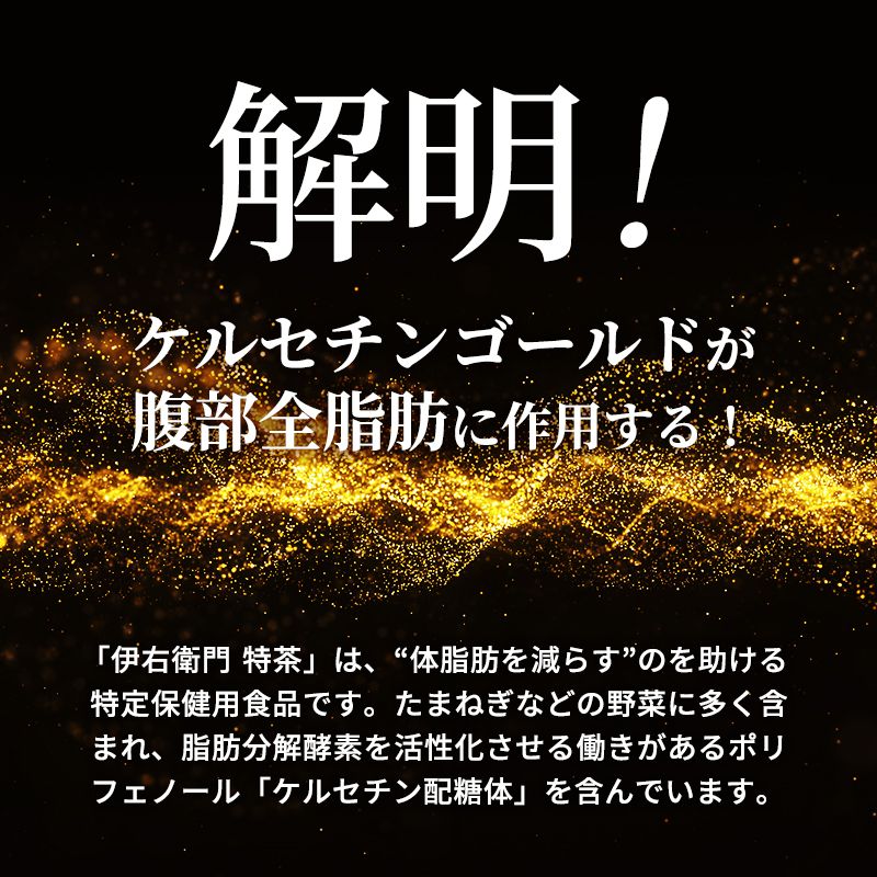 お茶 定期便 2ヶ月 伊右衛門 特茶 ジャスミン 500ml × 24本 サントリー 特定保健用食品 トクホ ジャスミン茶 ジャスミンティー ペットボトル 500 茶 トクホ茶 飲料 飲み物 ドリンク ペットボトル飲料 防災備蓄 脂肪 体脂肪 減らす 神奈川 定期 2回