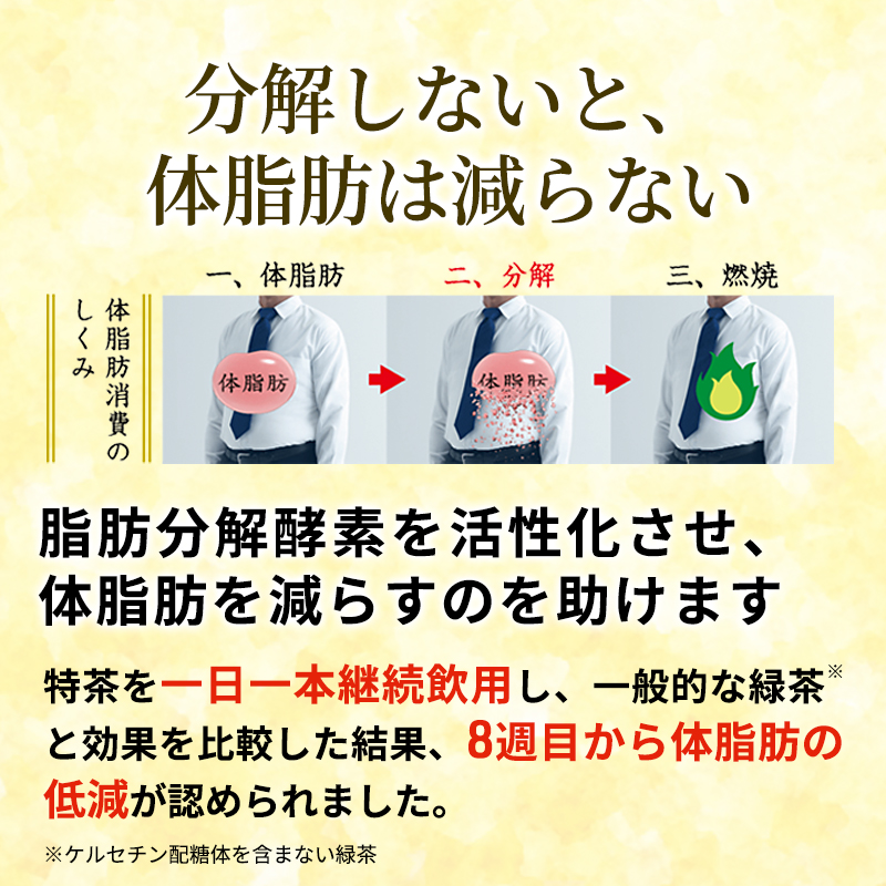 お茶 定期便 2ヶ月 伊右衛門 特茶 ジャスミン 500ml × 48本(2ケース) サントリー 特定保健用食品 トクホ ジャスミン茶 ジャスミンティー ペットボトル 500 茶 トクホ茶 飲料 飲み物 ドリンク ペットボトル飲料 防災備蓄 脂肪 体脂肪 減らす 定期 2回