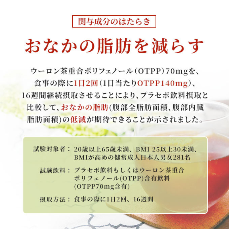 サントリー烏龍茶 OTPP 2L 12本 (6本×2箱) セット 詰め合わせ 機能性表示食品 お茶 サントリーウーロン茶 サントリー 烏龍茶 ウーロン茶 ペットボトル 中国茶 茶 脂肪を減らす 健康茶 健康 飲み物 ドリンク 飲料 神奈川 神奈川県 綾瀬市