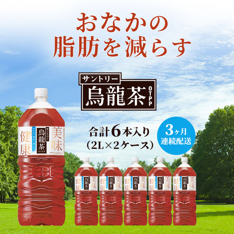 お茶 定期便 3ヶ月 サントリー烏龍茶 2L 12本 6本×2箱 セット 烏龍茶 定期 3回