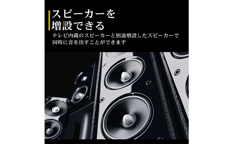 再生品 液晶テレビ 50V型 IRIE 外付けハードディスク 録画対応 HDR10 東芝ボード内蔵 50インチ 壁掛け対応 裏番組 録画 ジェネリック 置き型スタンド付属 リビング FFF-TV4K50WBK