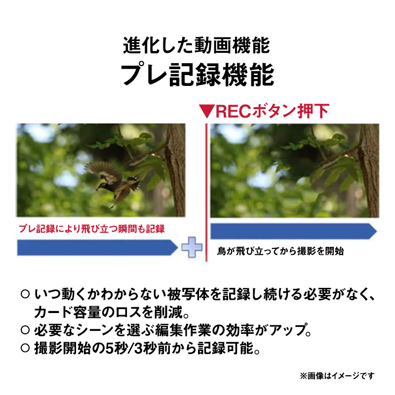 カメラ canon EOS R6 Mark II 一眼レフ 一眼レフカメラ デジタル一眼レフカメラ