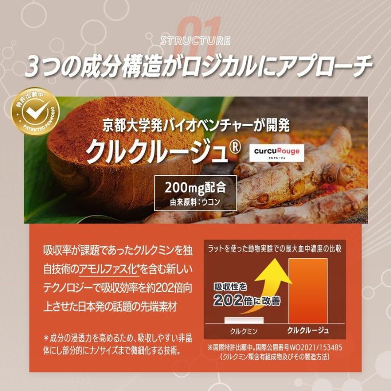 サプリ KIGASURE リボーン(Re;BONE) 高吸収 飲み会サプリ クルクミン入り 30日分(60粒) 健康 飲み会 クルクミン ウコン 酢酸菌酵素 亜鉛 酵母 ビタミン 綾瀬市 神奈川県