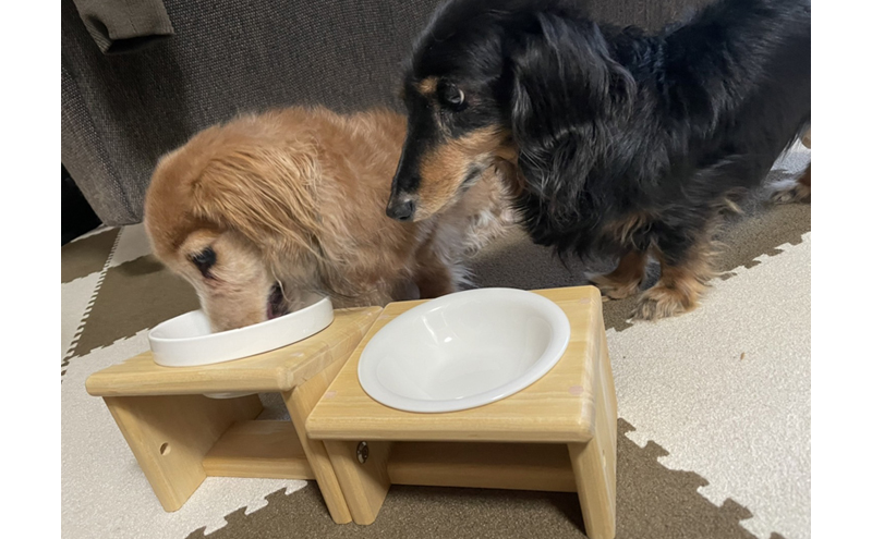 餌・水置き台セット(Sサイズ) ペット食器台 エサ入れ フードボウル お水入れ セット スタンド 傾斜 皿 陶器 ペット用品 食器 綾瀬市 神奈川県