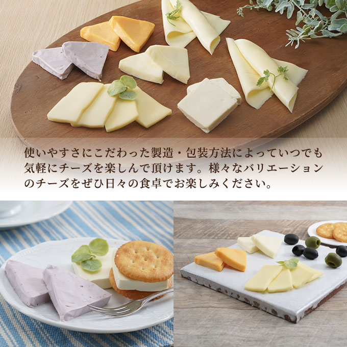 チーズ＆チーズケーキセット 定期便 2ヶ月 クラフトチーズ バラエティ 20個 セット 詰め合わせ カマンベールチーズ クリームチーズ スライスチーズ 乳製品