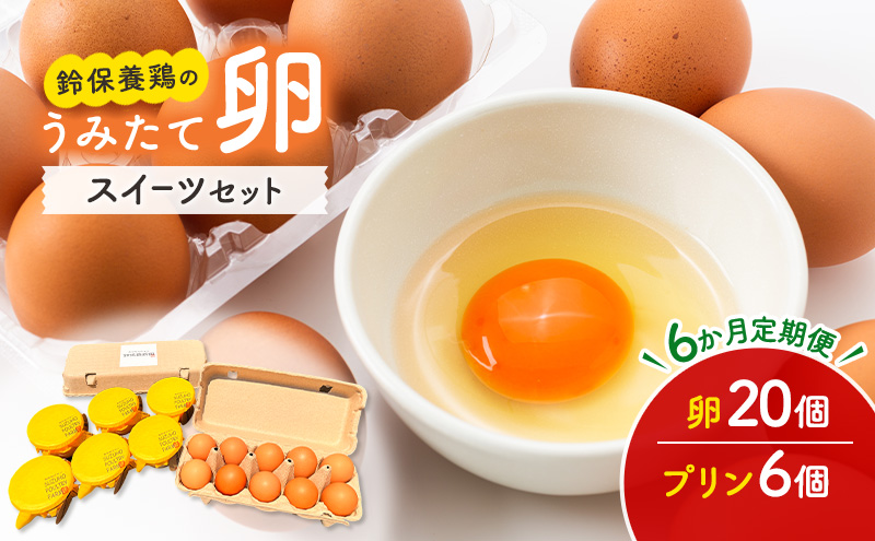 【6か月定期便】 うみたて 卵 スイーツ セット 鈴保養鶏  たまご 20個 プリン 6個玉子 詰め合わせ 鶏卵 こだわり おやつ たまご定期便