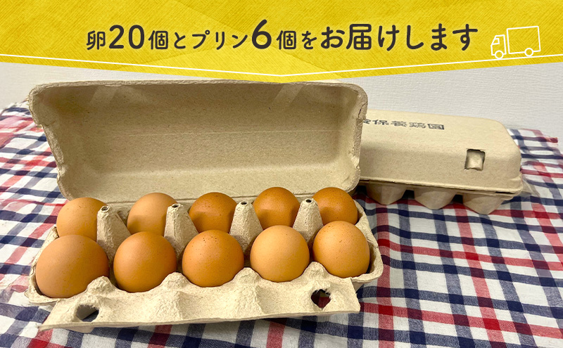 【6か月定期便】 うみたて 卵 スイーツ セット 鈴保養鶏  たまご 20個 プリン 6個玉子 詰め合わせ 鶏卵 こだわり おやつ たまご定期便