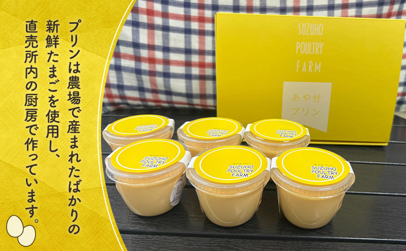 【6か月定期便】 うみたて 卵 スイーツ セット 鈴保養鶏  たまご 20個 プリン 6個玉子 詰め合わせ 鶏卵 こだわり おやつ たまご定期便