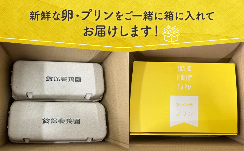 【6か月定期便】 うみたて 卵 スイーツ セット 鈴保養鶏  たまご 20個 プリン 6個玉子 詰め合わせ 鶏卵 こだわり おやつ たまご定期便