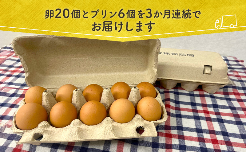 【3か月定期便】 うみたて 卵 スイーツ セット 鈴保養鶏  たまご 20個 プリン 6個玉子 詰め合わせ 鶏卵 こだわり おやつ たまご定期便