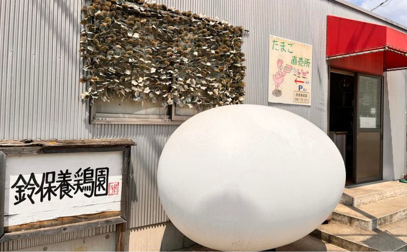 【3か月定期便】 うみたて 卵 スイーツ セット 鈴保養鶏  たまご 20個 プリン 6個玉子 詰め合わせ 鶏卵 こだわり おやつ たまご定期便