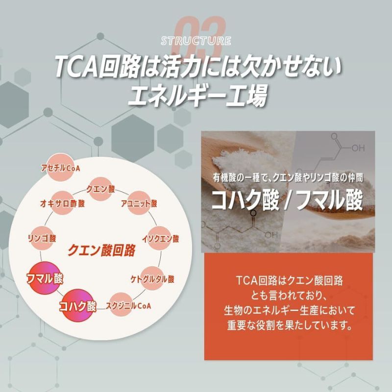 サプリ KIGASURE リボーン(Re;BONE) 高吸収 飲み会サプリ クルクミン入り 30日分(60粒) 健康 飲み会 クルクミン ウコン 酢酸菌酵素 亜鉛 酵母 ビタミン 綾瀬市 神奈川県