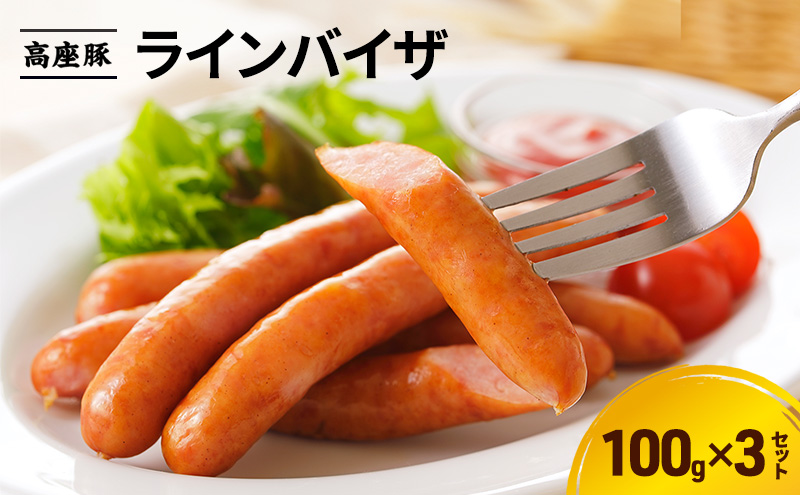 ラインバイザ100ｇ×3セット　手造り 加工肉 豚肉 豚 肉 お肉 ももハム ウィンナー ソーセージ 加工食品 加工品 ギフト 贈り物 プレゼント 神奈川 神奈川県 綾瀬市