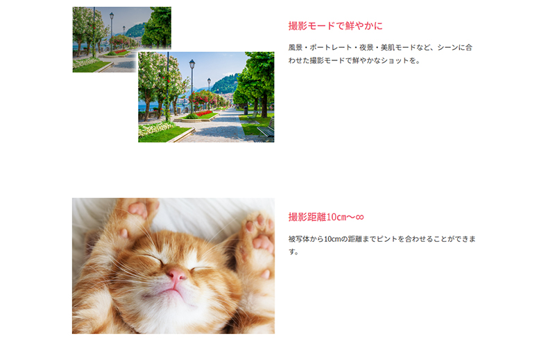 再生新品 同様 整備済み品業務用800万画素コンパクトデジタルカメラF3DCAF-01-AYASE カメラ デジカメ 軽量 コンパクト 動画撮影 神奈川県 綾瀬市