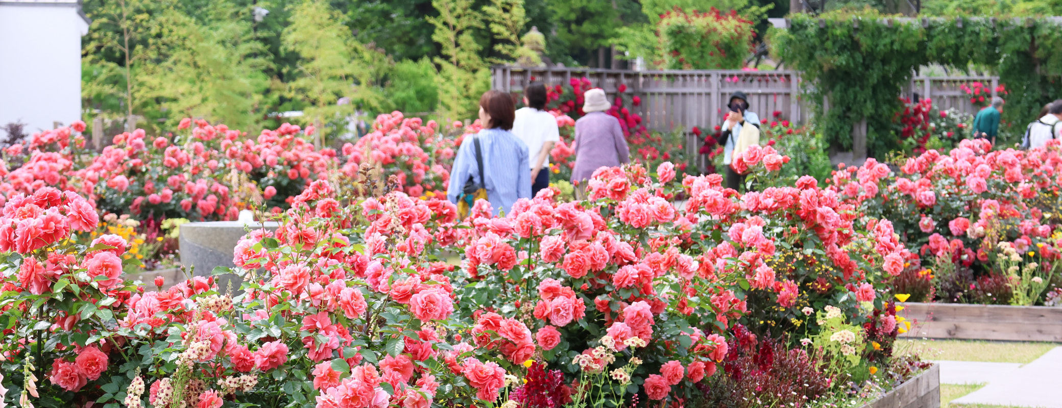 神奈川県綾瀬市