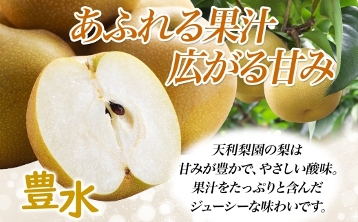 湘南梨 3kg 豊水 寒川町産 箱 湘南 常温 かながわ ブランド 甘い 強い やさしい 酸味 果汁 ジューシー ナシ  シャキシャキ 送料無料 栽培 樹上 完熟 天利梨園 種類 果物 夏 旬 冷蔵庫 収穫 直後 7月 神奈川県 寒川町