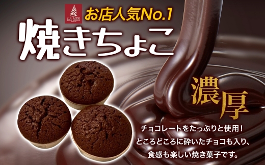 寒川町特産品 焼きちょこ 20個入り しっとり 濃厚  チョコレート 焼き菓子 焼菓子 リッチ 滑らか チョコ ショコラ デザート スイーツ ラメール洋菓子 ギフト 贈答品 プレゼント 送料無料 神奈川県 寒川町