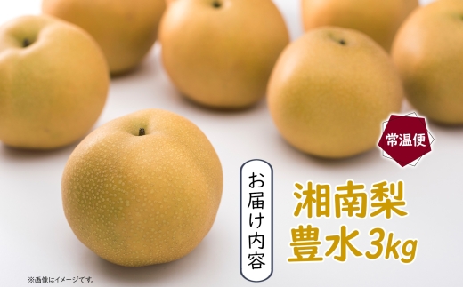 湘南梨 3kg 豊水 寒川町産 箱 湘南 常温 かながわ ブランド 甘い 強い やさしい 酸味 果汁 ジューシー ナシ  シャキシャキ 送料無料 栽培 樹上 完熟 天利梨園 種類 果物 夏 旬 冷蔵庫 収穫 直後 7月 神奈川県 寒川町