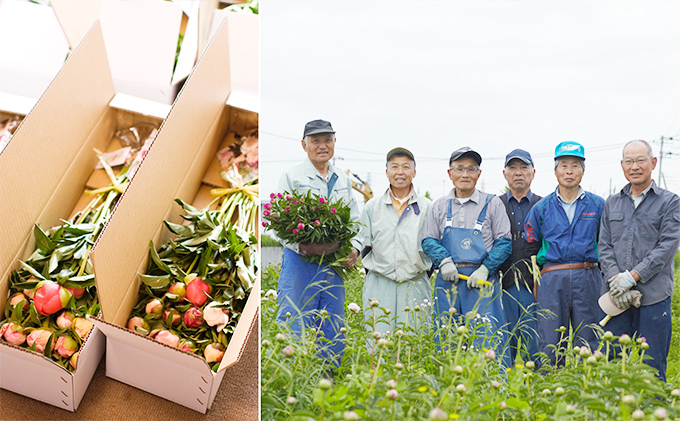 闃ア 貉伜漉縺ョ繧キ繝」繧ッ繝、繧ッ 蛻繧願干 13譛ャ蜈・繧 螟ァ隹キ闃崎脈蝨 闃ア譚 窶サ濶イ謖螳壻ク榊庄 讀咲黄 蛻闃ア