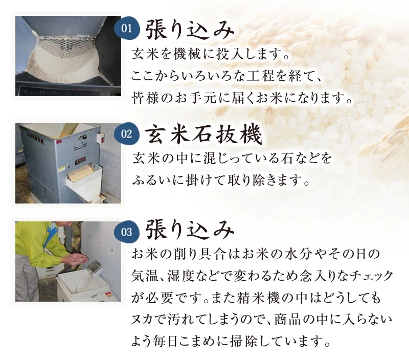湘南大磯五ツ星お米マイスターお仕立て米「華」15kg【 地元産米 米セット 神奈川県 大磯町 】
