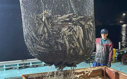 めしや大磯港 お食事券 10,000円分【 神奈川県 大磯町 お食事券 食事券 】