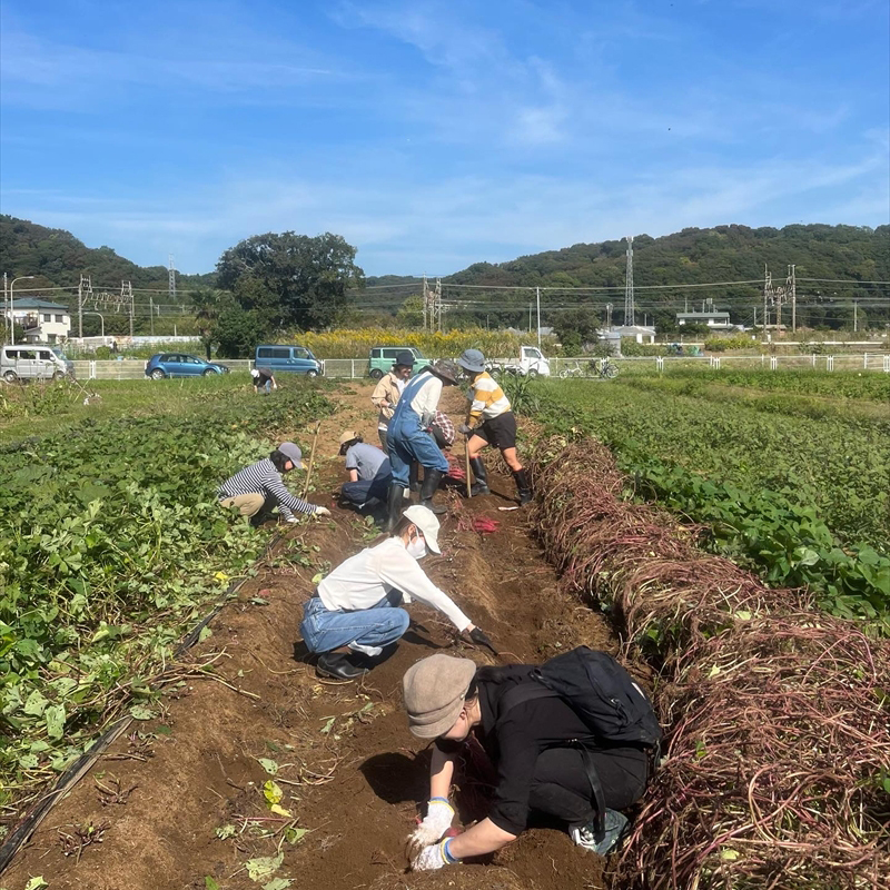 縲仙ョ壽悄萓ソ12蝗槭第流縺ョ驥手除繧サ繝繝茨シ亥ケエ髢/12蝗橸シ峨 逾槫・亥キ晉恁 螟ァ逎ッ逕コ 蟄」遽驥手除繧サ繝繝 譁ー魄ョ驥手除縲