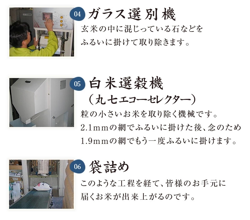 湘南大磯五ツ星お米マイスターお仕立て米「華」15kg【 地元産米 米セット 神奈川県 大磯町 】