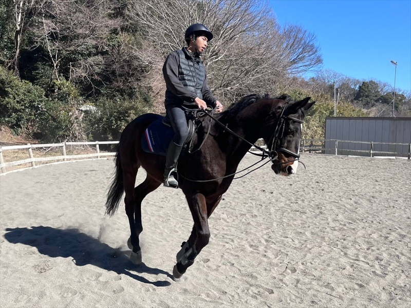 豌苓サス縺ォ讌ス縺励シ∽ケ鈴ヲャ菴馴ィ20蛻縲 菴馴ィ 繝ャ繝繧ケ繝ウ 逾槫・亥キ晉恁 螟ァ逎ッ逕コ 縲