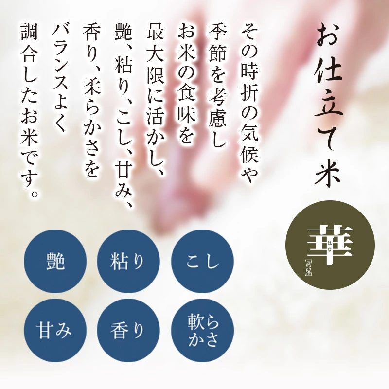 湘南大磯五ツ星お米マイスターお仕立て米「華」5kg【 地元産米 米セット 神奈川県 大磯町 】