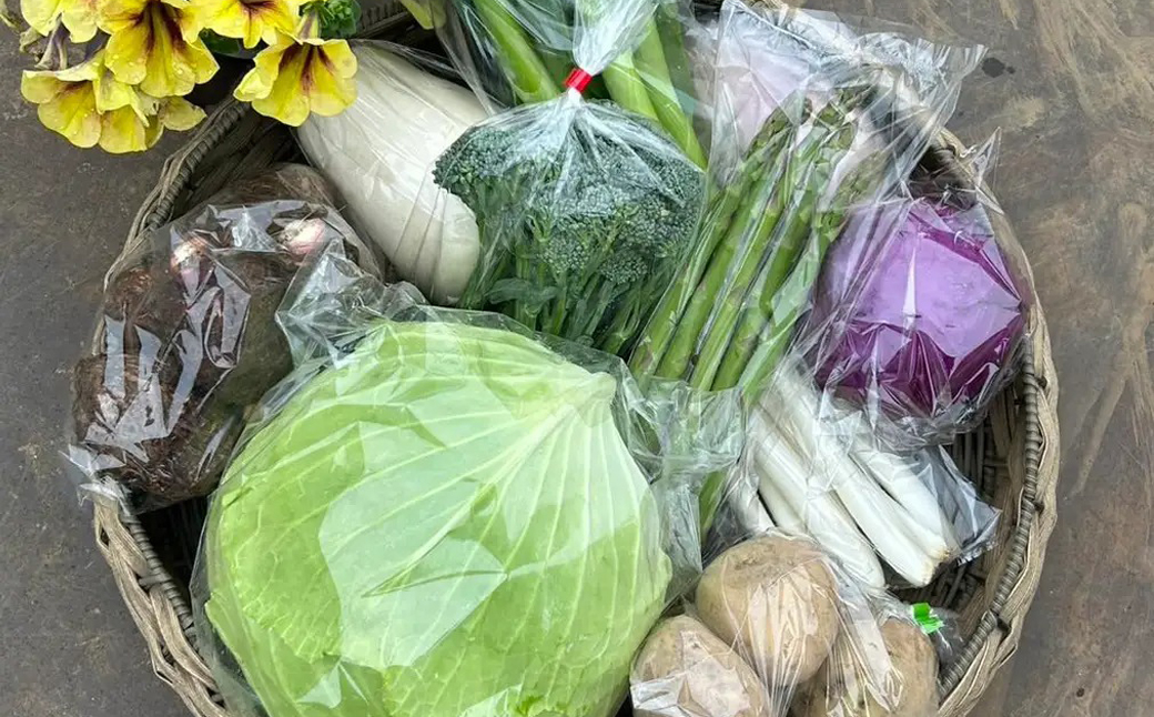 【冷蔵便】季節のこだわり野菜セット 野菜詰め合わせ（春野菜 夏野菜 ハーブ など）【 神奈川県 大磯町 野菜セット 詰め合わせ 季節 旬 】