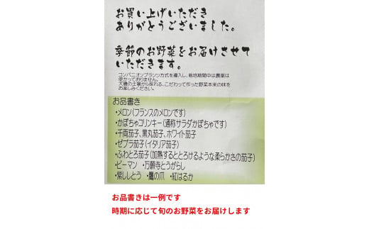 【冷蔵便】季節のこだわり野菜セット 野菜詰め合わせ（春野菜 夏野菜 ハーブ など）