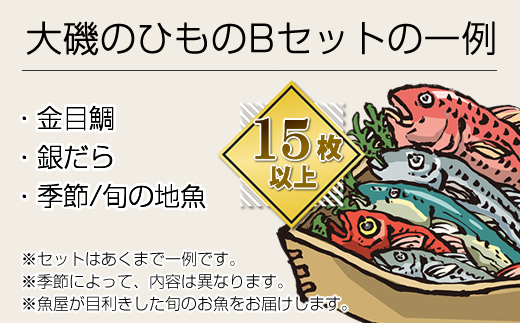 【定期便3か月】おおいその干物Bセット（15枚以上）／ 季節で変わる旬な訳あり品 【 ひもの 魚 天日干し 神奈川県 大磯 湘南 特産品 3回お届け 神奈川県 大磯町 自家製干物 贈答品 地魚 お歳暮・お中元】