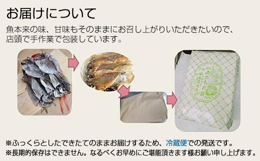 【定期便12か月】おおいその干物Aセット（7枚以上）／ 季節で変わる旬な訳あり品 【 ひもの 魚 天日干し 神奈川県 大磯 湘南 特産品 12回お届け 神奈川県 大磯町 自家製干物 贈答品 地魚 お歳暮・お中元】