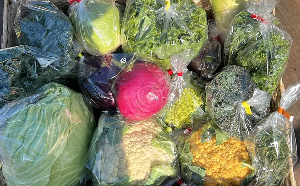 【冷蔵便】季節のこだわり野菜セット 野菜詰め合わせ（春野菜 夏野菜 ハーブ など）