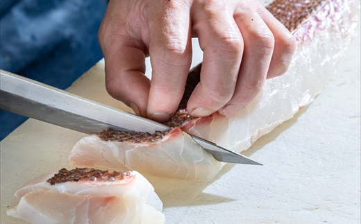 繧√@繧螟ァ逎ッ貂ッ 縺企」滉コ句虻 5,000蜀蛻縲 逾槫・亥キ晉恁 螟ァ逎ッ逕コ 縺企」滉コ句虻 鬟滉コ句虻 縲