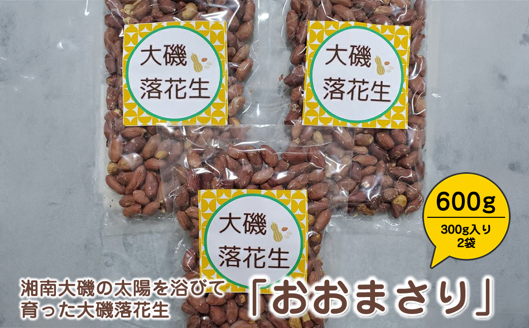 湘南大磯の太陽を浴びて育った大磯落花生　「おおまさり」 たっぷり600g（300g入り2袋）【おつまみ　大容量】【 神奈川県 大磯町 大粒の落花生 天日干し ポリフェノー 薄皮付き ピーナッツ 贈り物 父の日】