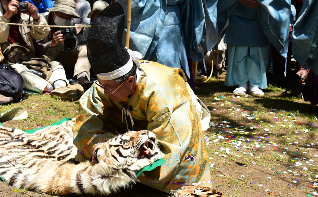 5月5日（火）限定日帰りガイドツアー千年の歴史を伝える相模国府祭を訪ねる。（老舗松月のお弁当付）参加券（メールにて送信）