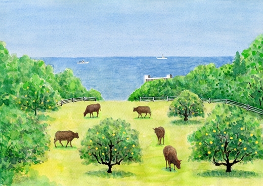 ãç§å ŽçŽè²©ã磯姫ççŽç«ããŒã¹ãããŒãã»ãããåºè·ææïŒ2026幎4æé 次åºè·éå§ãã ç¥å¥å·ç å€§ç£¯çº ã