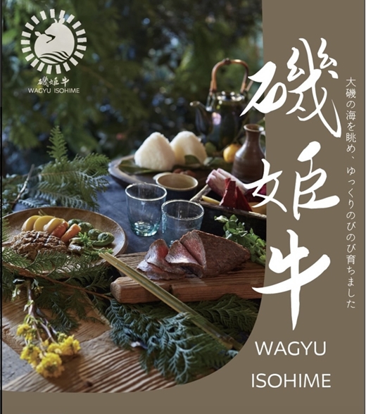 ç§å ŽçŽè²©ã磯姫çå®æäŸ¿ãçŒãããã¶400ïœå¹ŽïŒåããåºè·ææïŒ1åç® 2026幎4æé 次åºè·ã2åç® 2026幎10æé 次åºè·ãã ç¥å¥å·ç å€§ç£¯çº ã