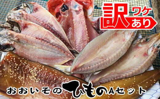 おおいその干物Aセット／ 季節によって多少内容が変わる訳あり品 【 ひもの 魚 天日干し 神奈川県 大磯 湘南 特産品】