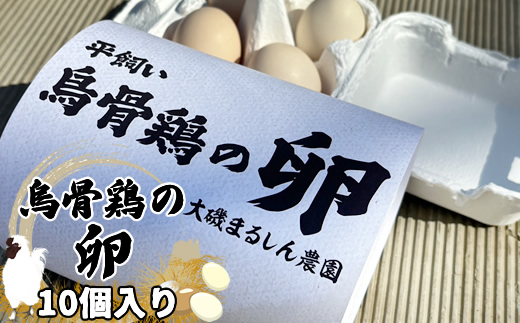 （10個入り）湘南で育った平飼い、烏骨鶏の卵。大磯まるしん農園【 たまご 神奈川県 大磯町 】