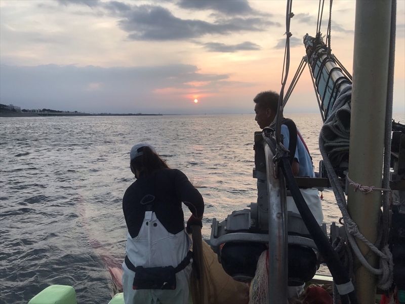 湘南大磯しらす網元 松道丸・釜揚げしらす 2パック 400g （200g×2）【 しらす 魚介類 海鮮 惣菜 おかず ギフト 簡単調理 冷凍配送 送料無料 神奈川県 大磯町】