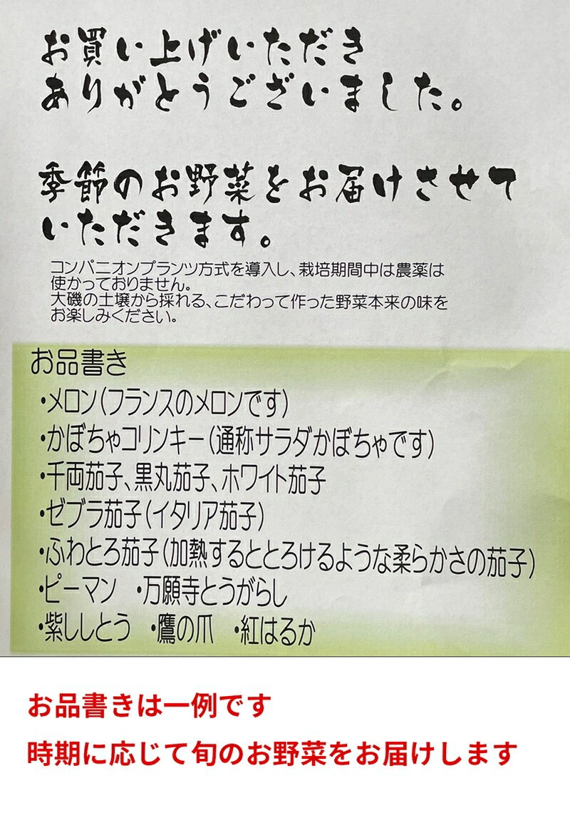 【冷蔵便】季節のこだわり野菜セット 野菜詰め合わせ（春野菜 夏野菜 ハーブ など）【 神奈川県 大磯町 野菜セット 詰め合わせ 季節 旬 】
