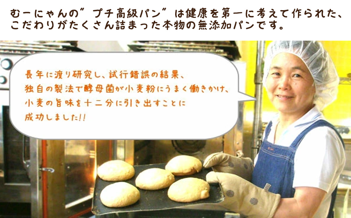 無添加 おまかせ冷凍パン 福箱 14〜17個入 詰め合わせセット No.058