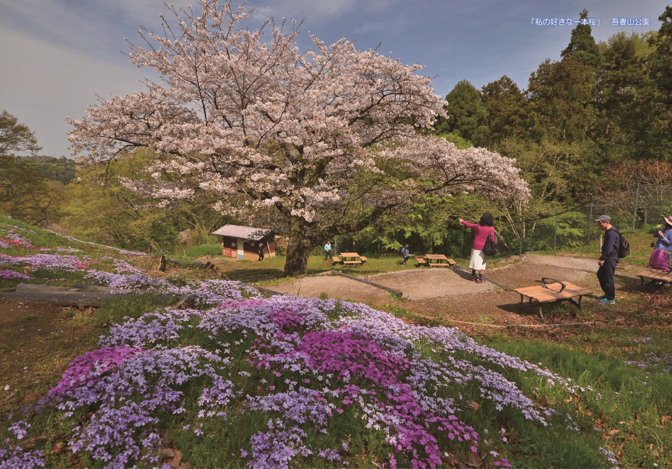 縺ォ縺ョ縺ソ繧隕ウ蜈峨き繝ャ繝ウ繝繝シ No.080