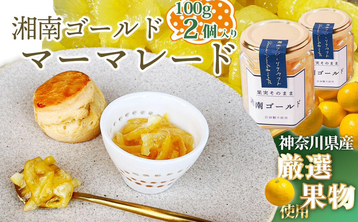 湘南ゴールドマーマレード100g×2個 No.082