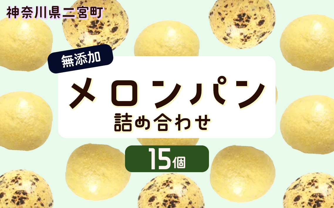 無添加メロンパン詰め合せ　15ヶ入り No.009